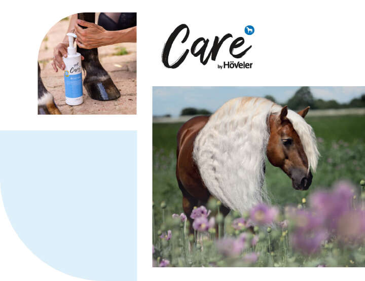 hoeveler care pferdepflege kategorie bild hoeveler care pferdepflege kategorie bild